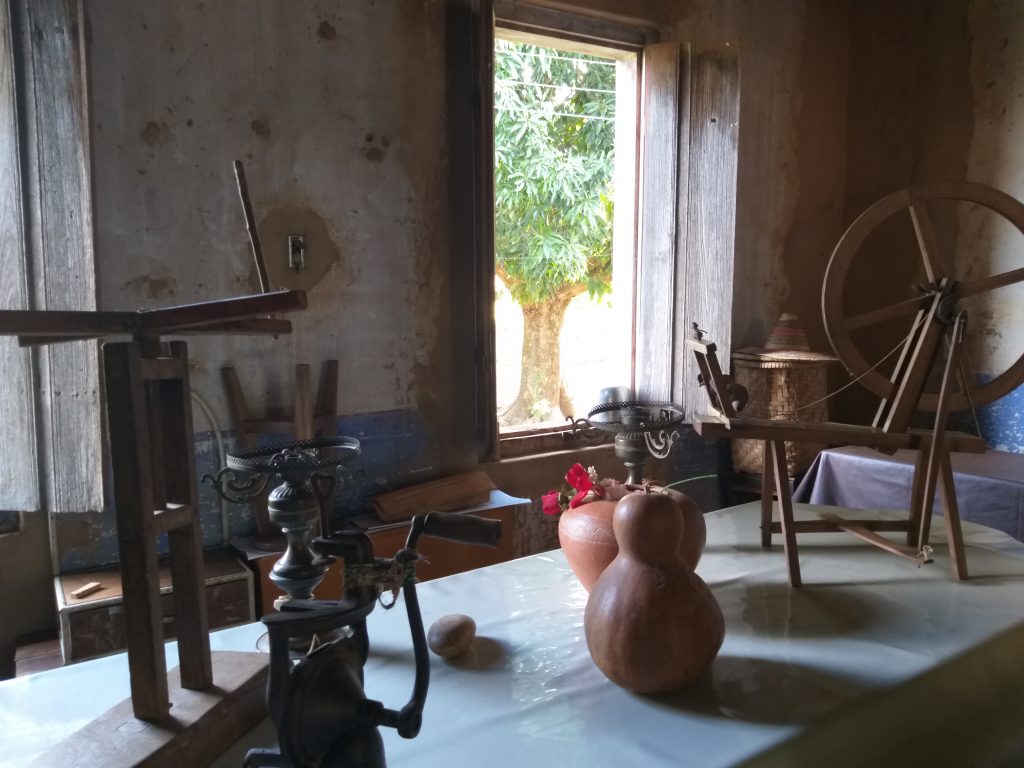 Fazenda Pedro Chico - Familia Guimarães (1)