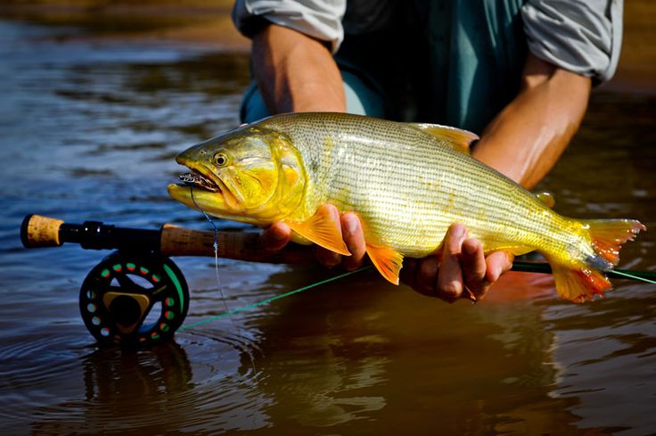 O poder das histórias de pescador para fisgar turistas