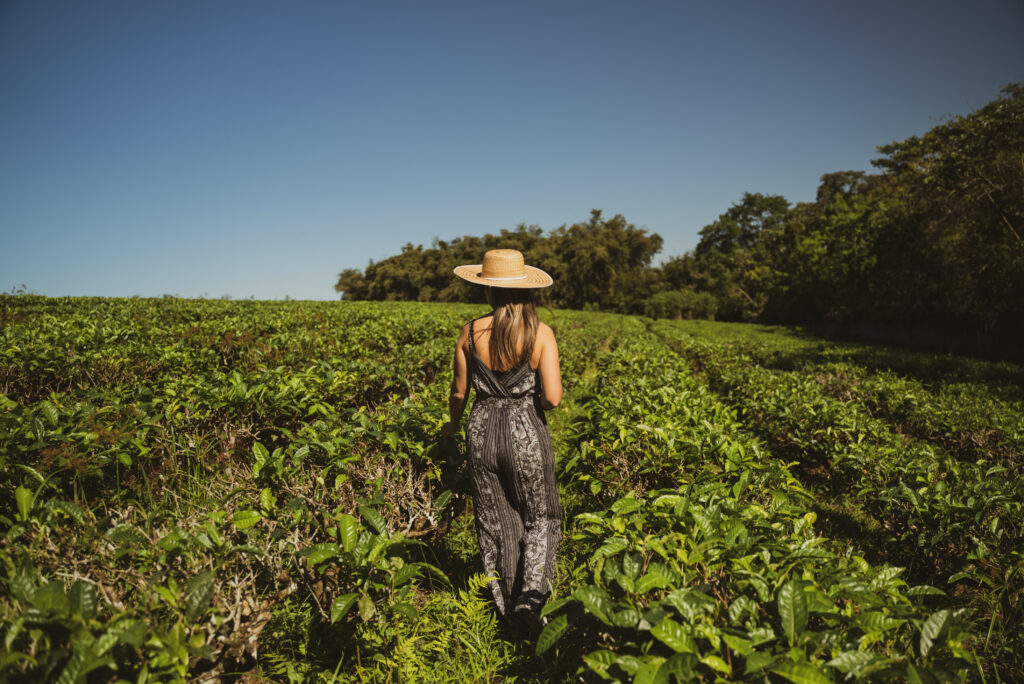 AWSP - Registro _ © ATTA - Josiah Holwick-3